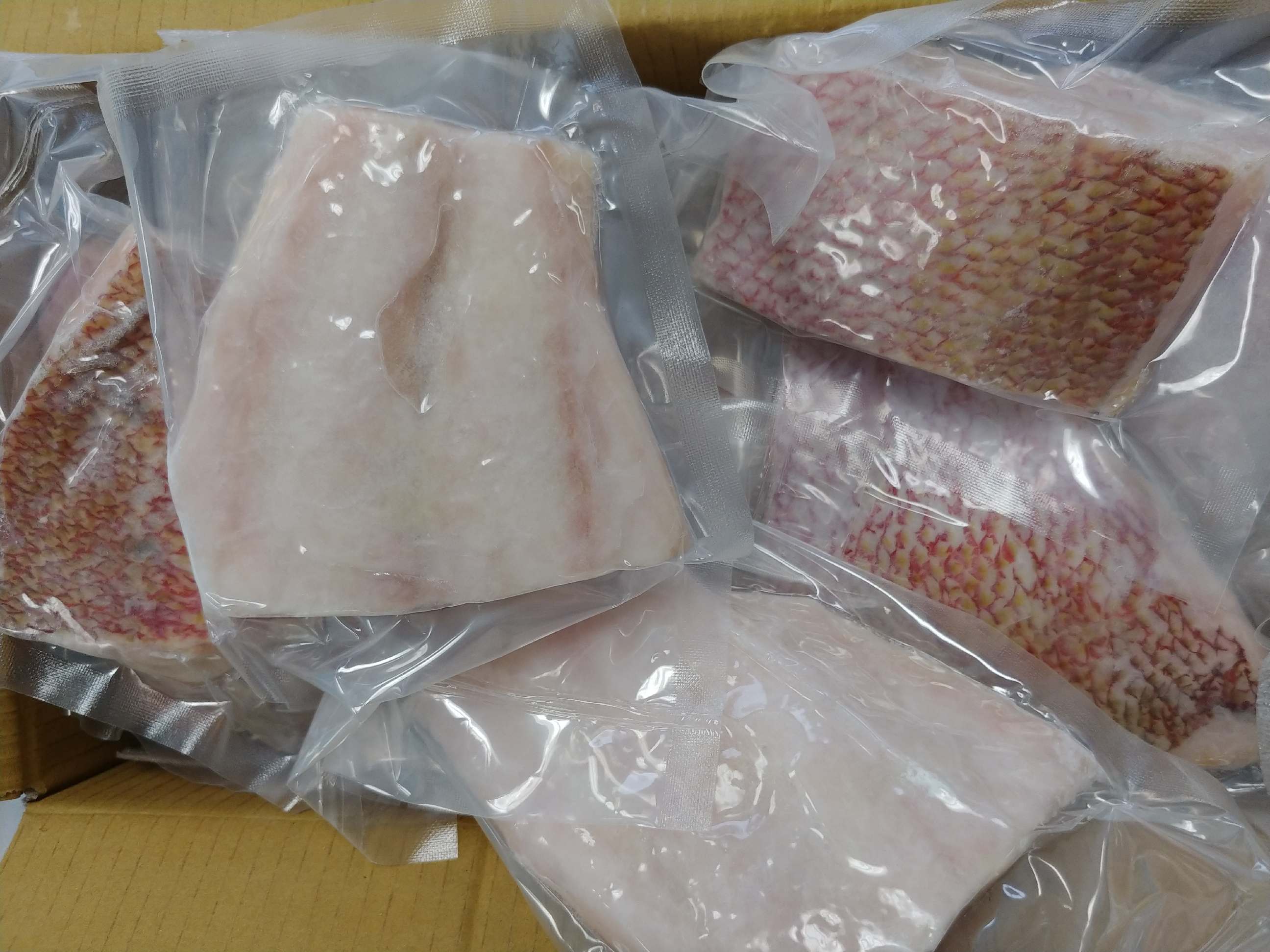 Snapper Packaged Snapper Fillets | Home Tyme Food Services